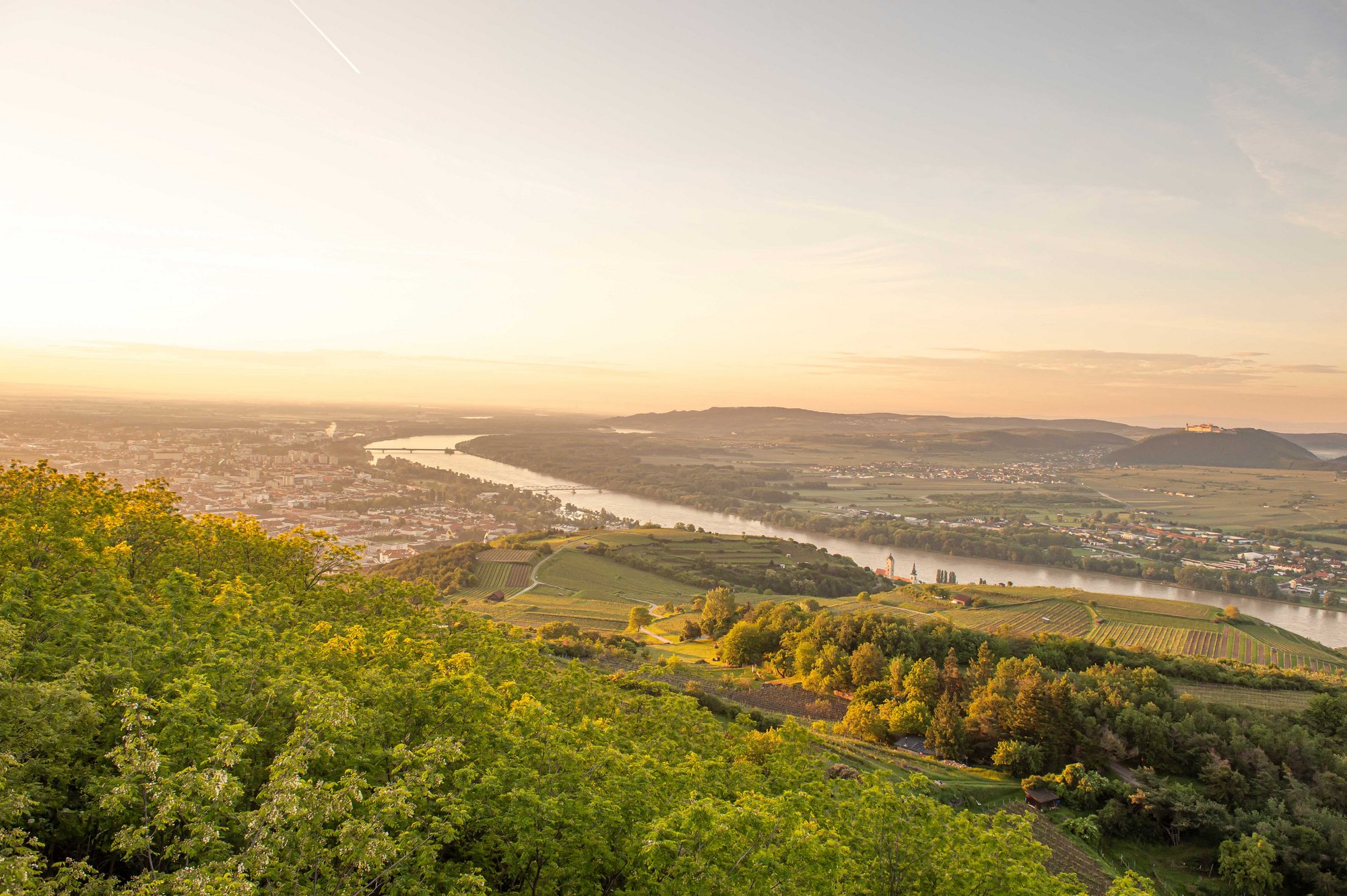  Bild_Wandern_Donaulandschaft_Krems__c__Donau_Niederoesterreich__Robert_Herbst.jpg
